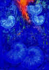 tyblewska.jpg (401014 Byte)